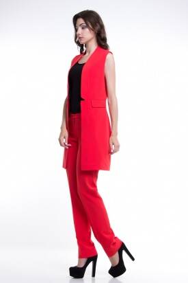 картинка женские Костюм жилет с брюками Smart брючные костюмы,   от производителя  TALES